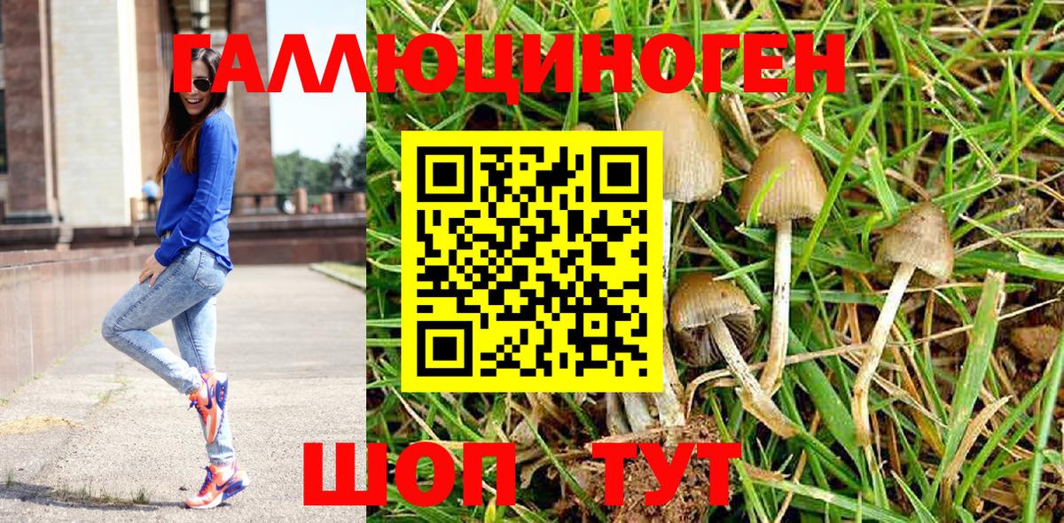 Псилоцибиновые грибы Psilocybe  Галлюциногенные грибы MAGIC MUSHROOMS  Новотроицк  Вход с VPN 
